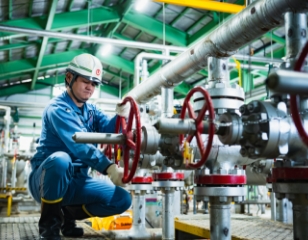 職種紹介・業務領域