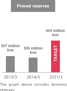 Use cash flows from increased production to reinvest and expand reserves