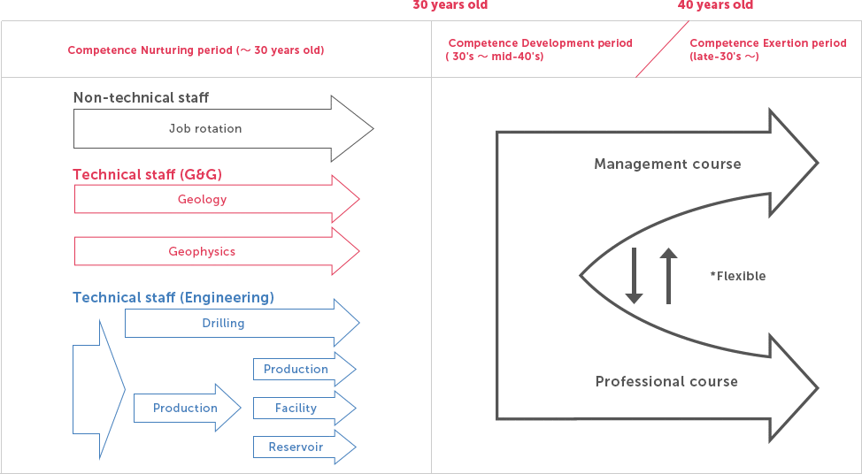 Career development